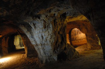 Town historical cellars